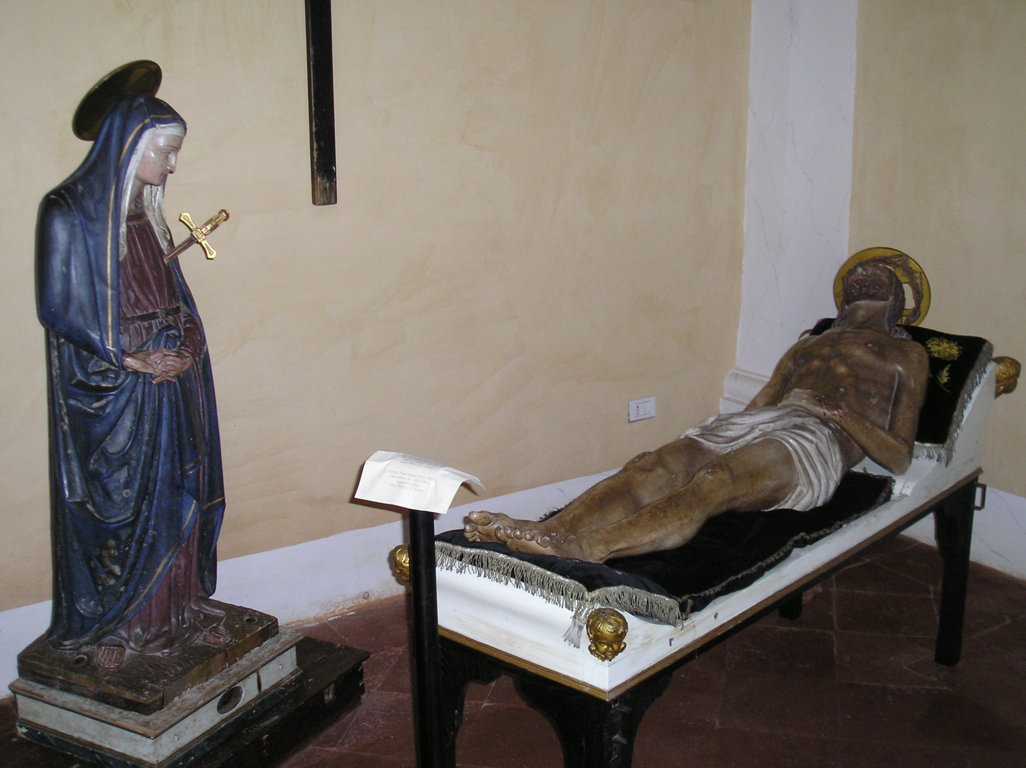 MUSEO 6